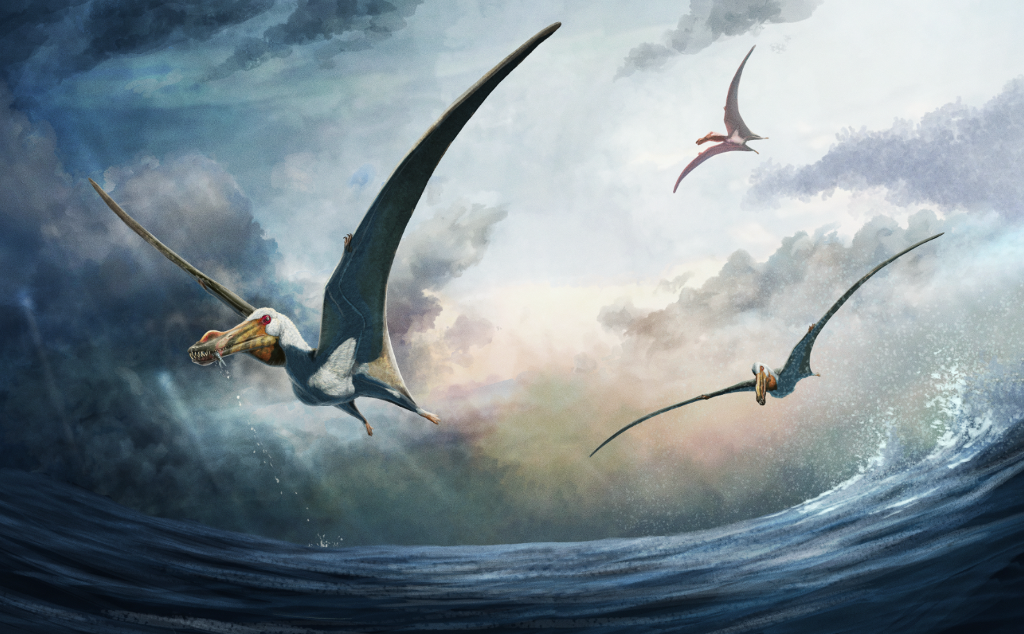 Episode 36: Aussie Pterosaur Roundup Featuring Adele Pentland